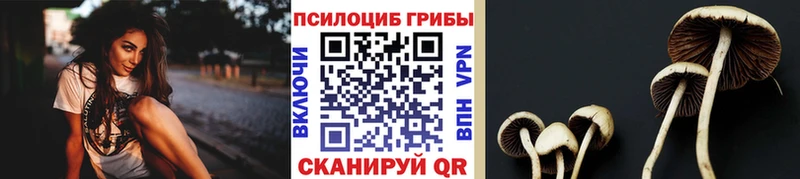 MEGA ONION  Черняховск  Псилоцибиновые грибы Cubensis 